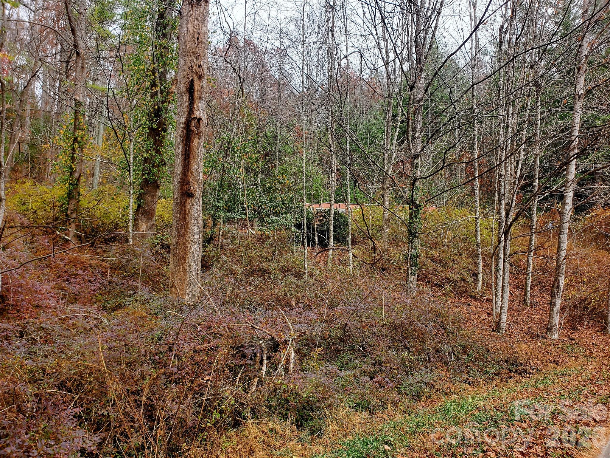 2701 Gouges Creek Road Spruce Pine NC 28777