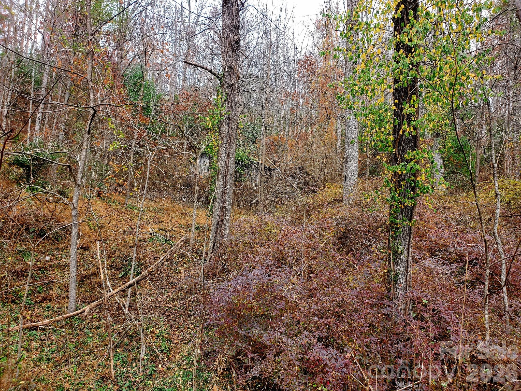 2701 Gouges Creek Road Spruce Pine NC 28777