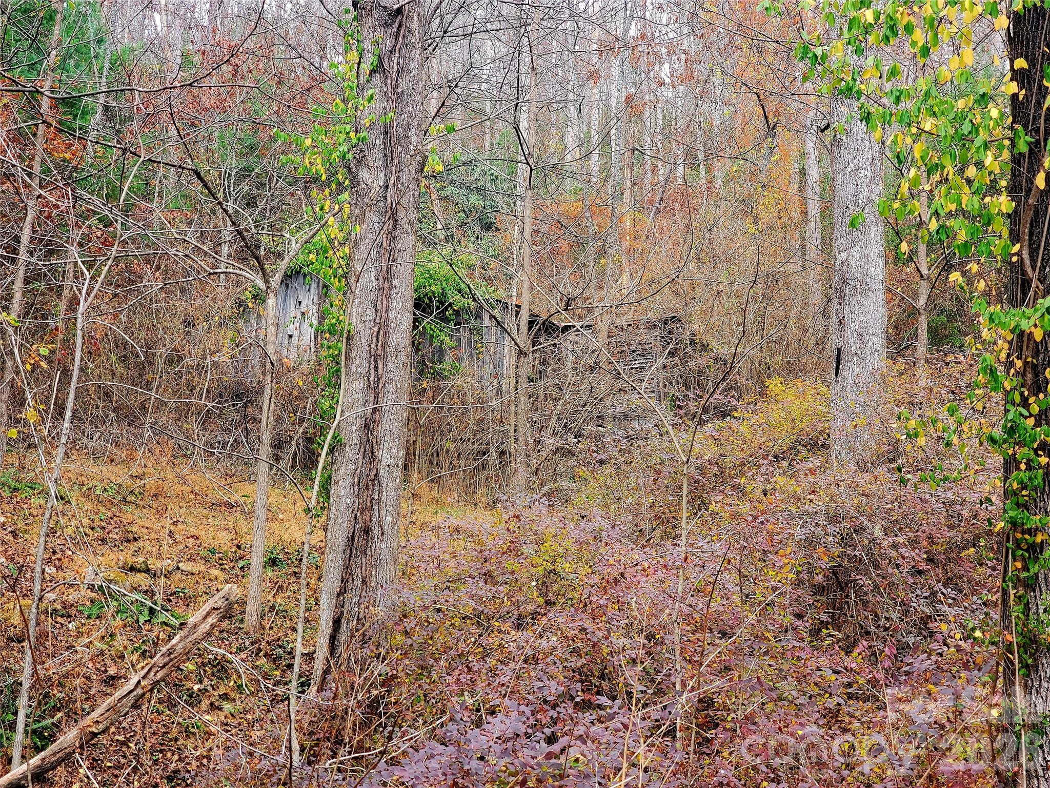 2701 Gouges Creek Road Spruce Pine NC 28777