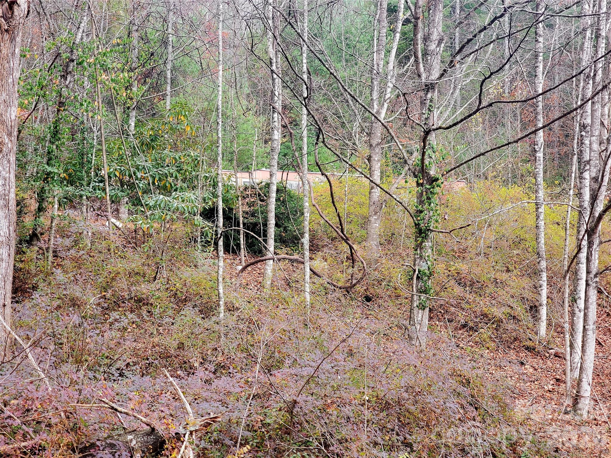 2701 Gouges Creek Road Spruce Pine NC 28777