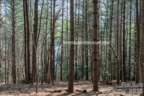 40 Turtle Head Drive Nebo NC 28761
