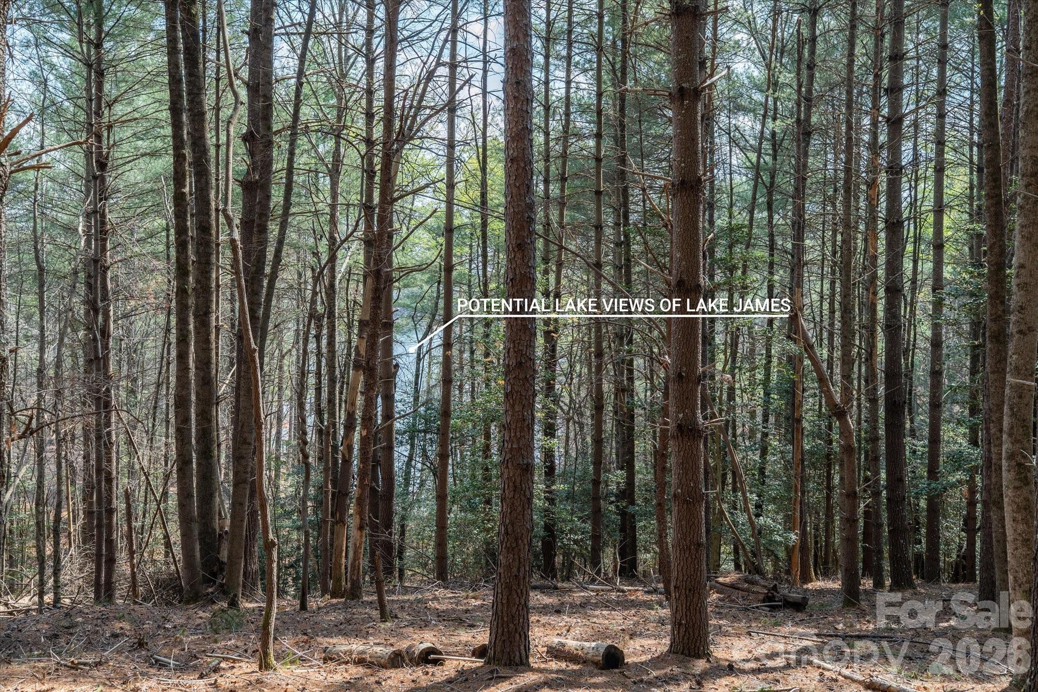 40 Turtle Head Drive Nebo NC 28761