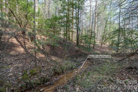 40 Turtle Head Drive Nebo NC 28761