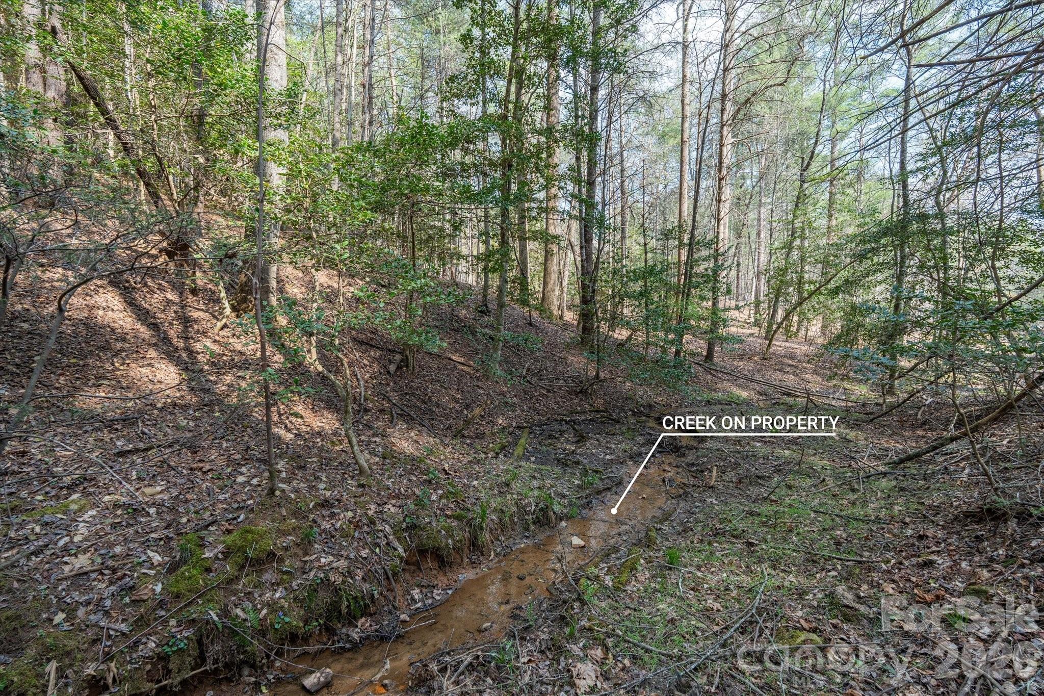 40 Turtle Head Drive Nebo NC 28761