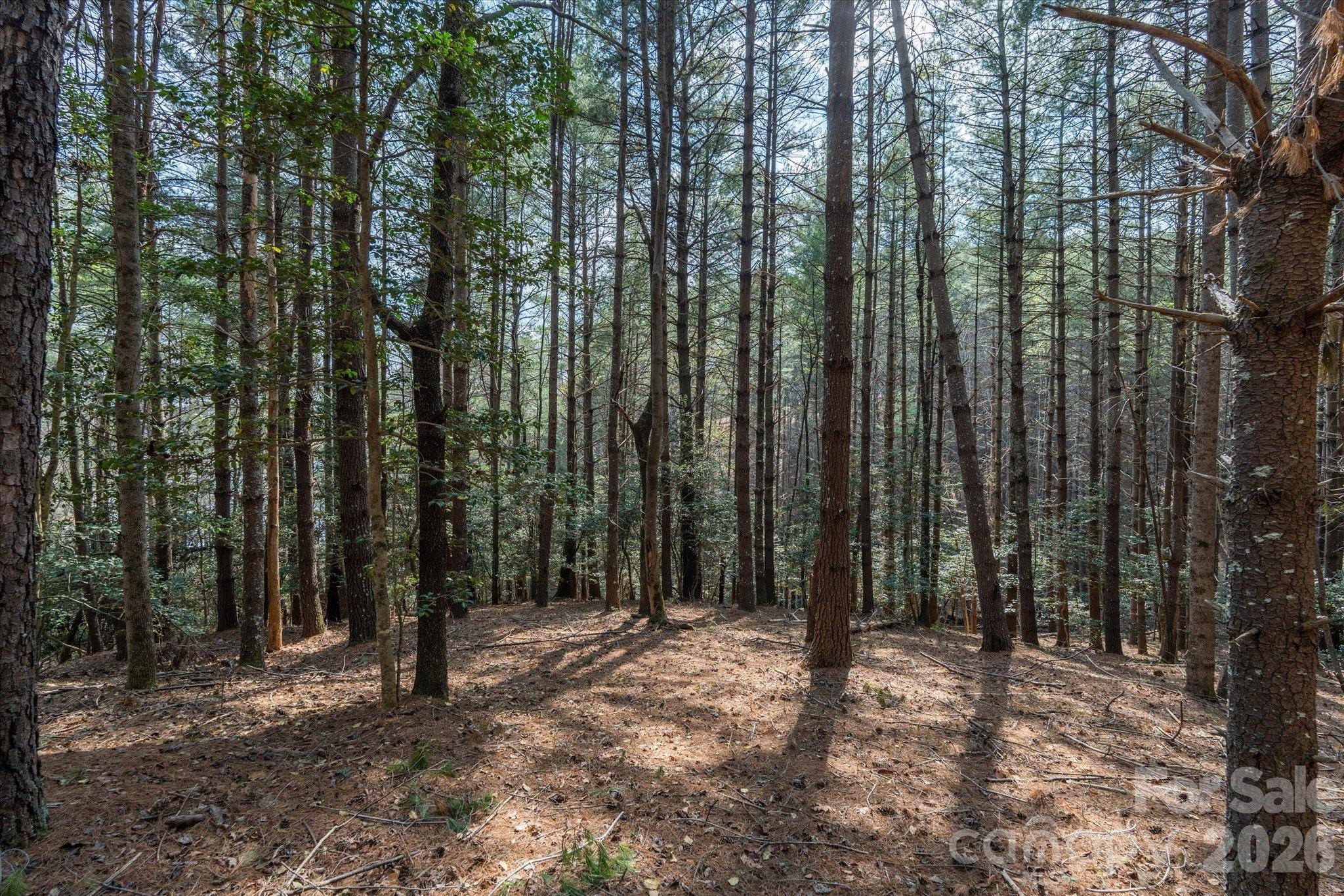 40 Turtle Head Drive Nebo NC 28761