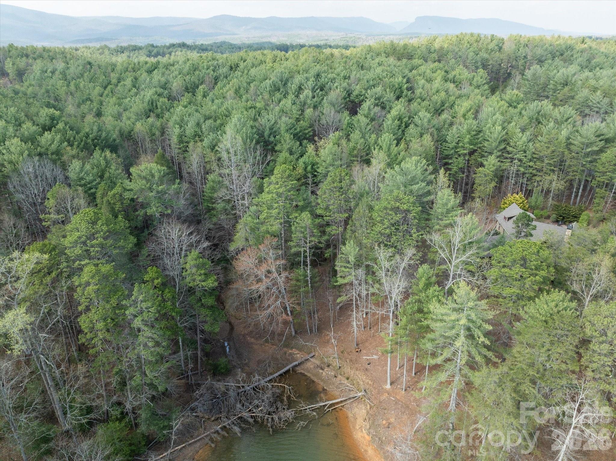 40 Turtle Head Drive Nebo NC 28761