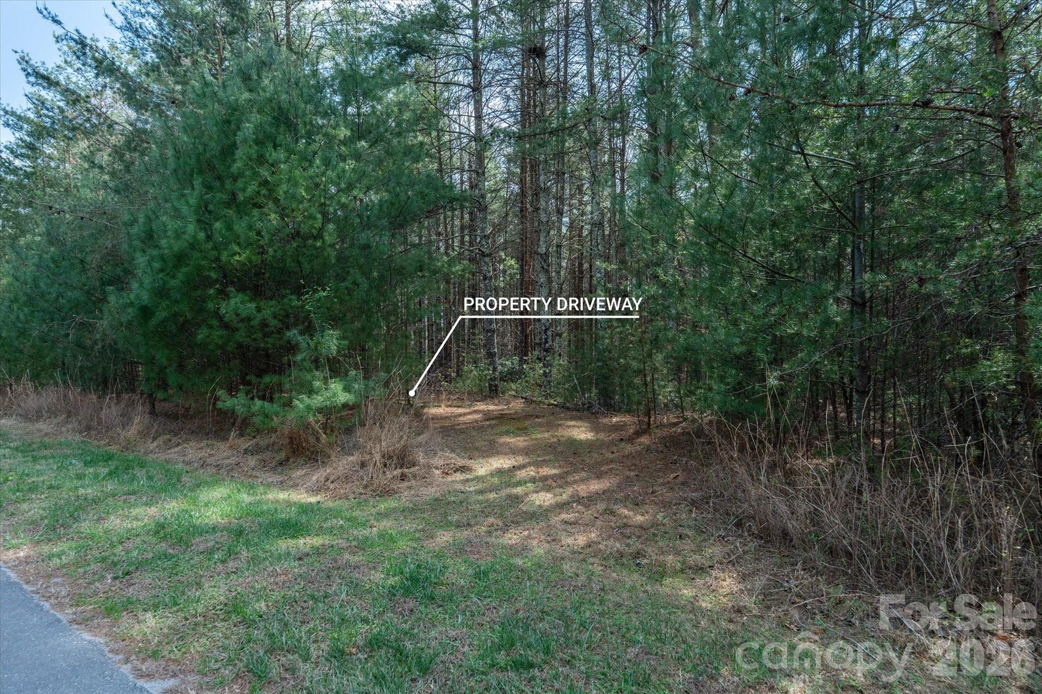 40 Turtle Head Drive Nebo NC 28761