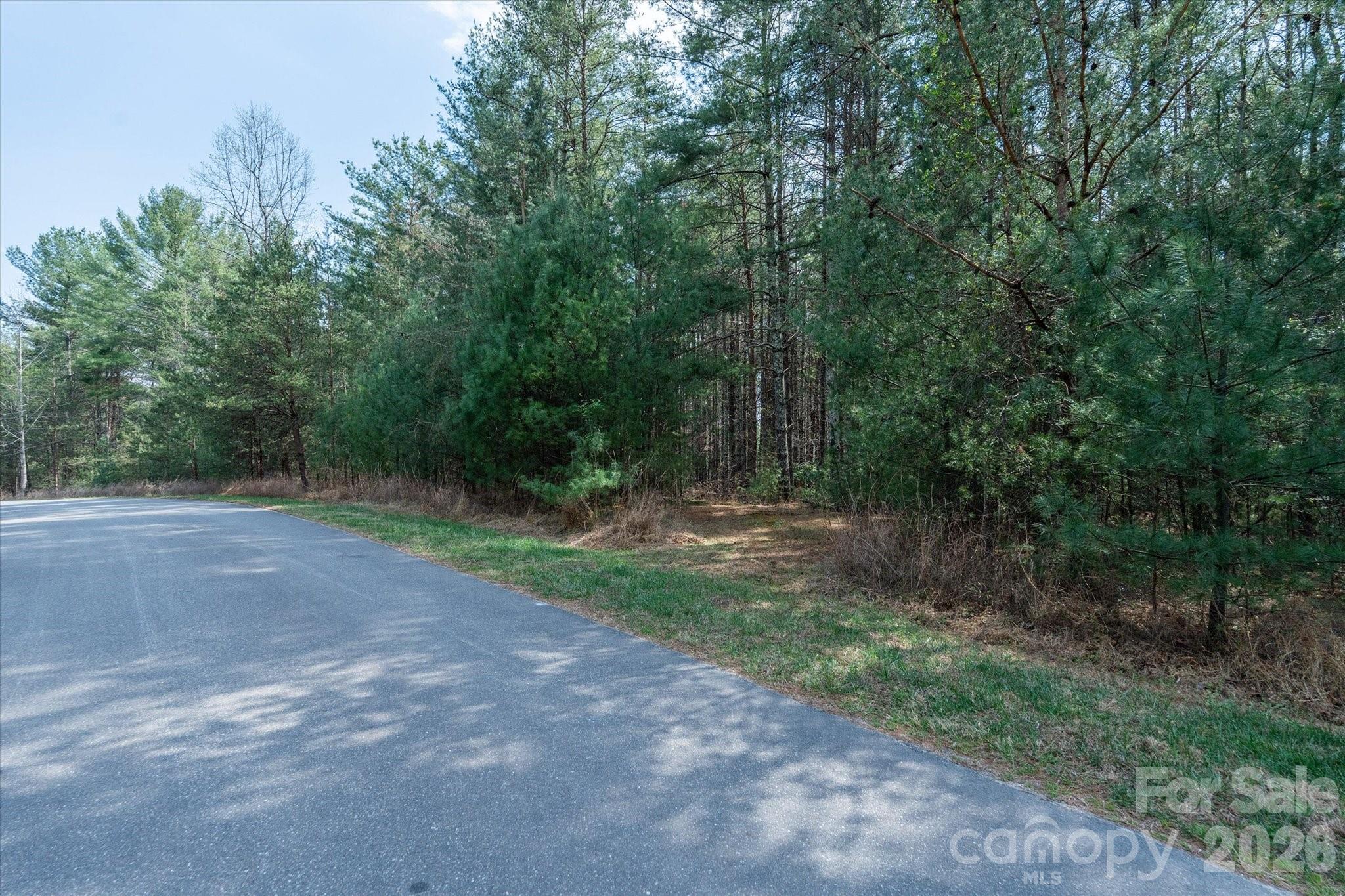 40 Turtle Head Drive Nebo NC 28761