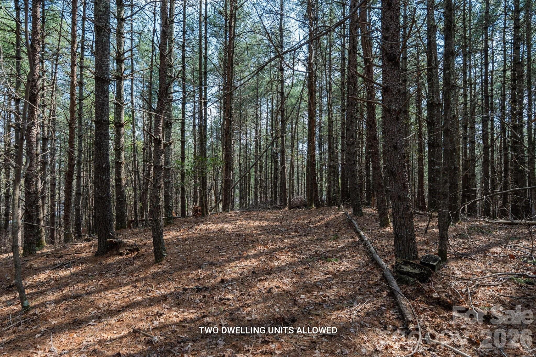40 Turtle Head Drive Nebo NC 28761