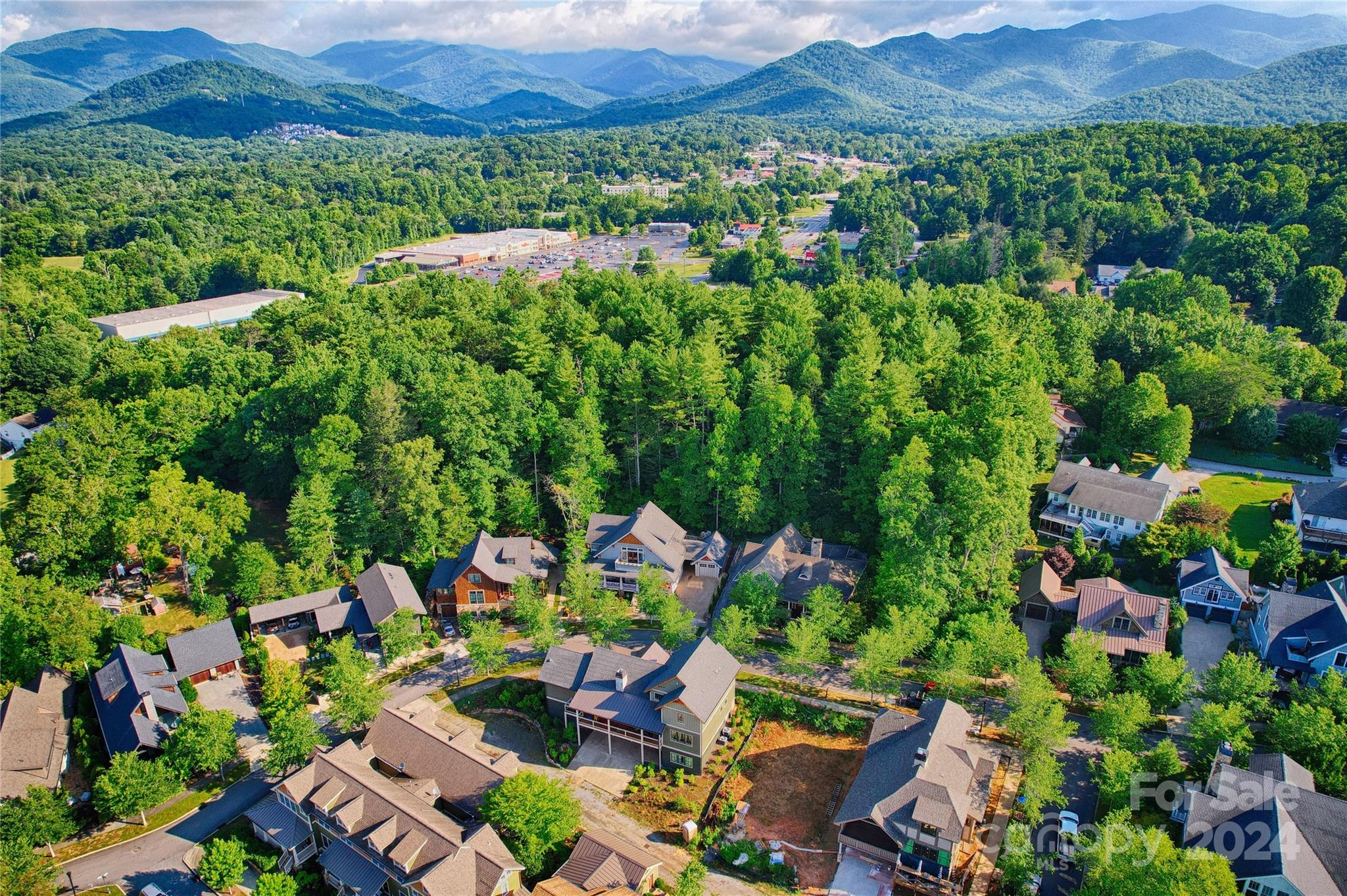 25 Wordsworth Road Black Mountain NC 28711