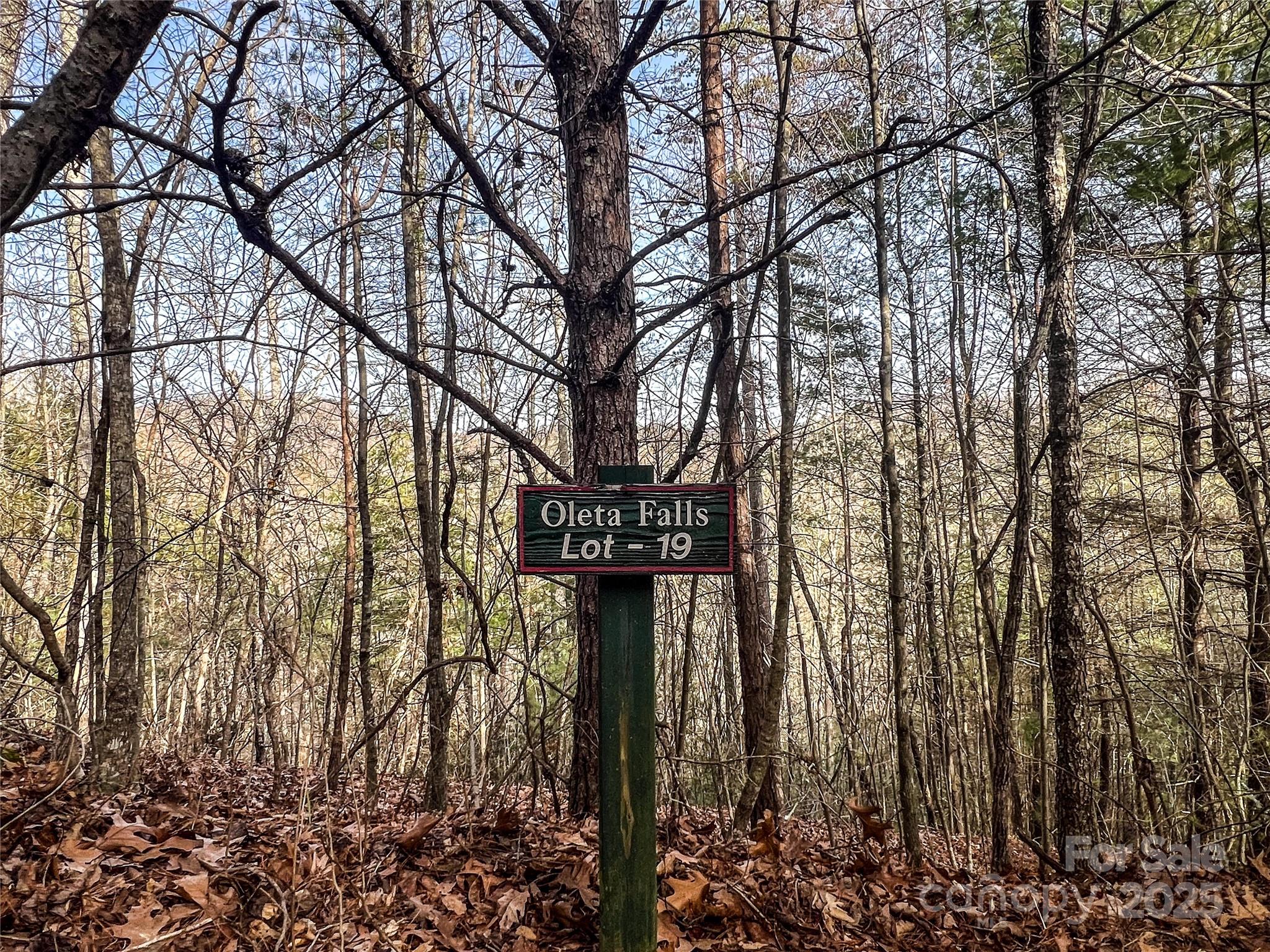 0000 Stepp Ridge Court Hendersonville NC 28792