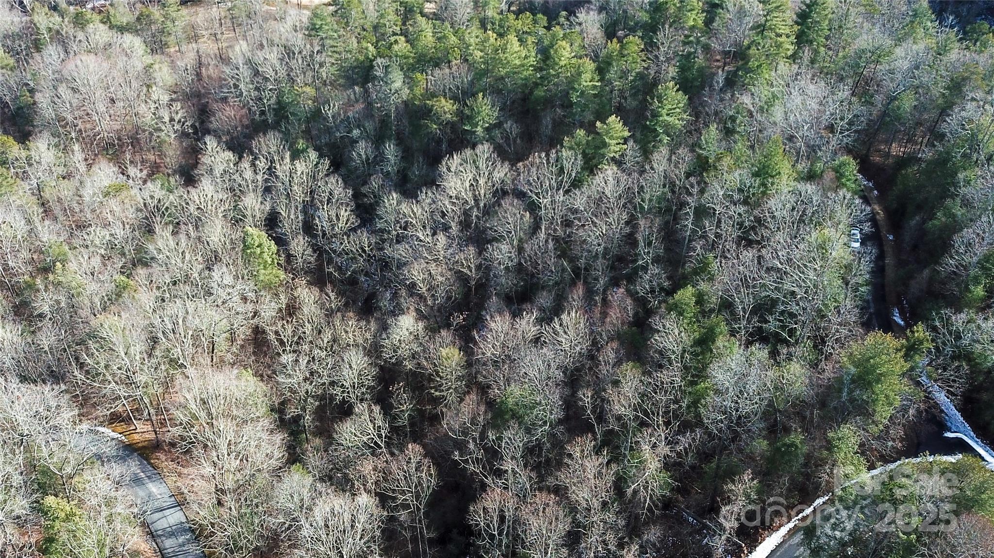 0000 Stepp Ridge Court Hendersonville NC 28792