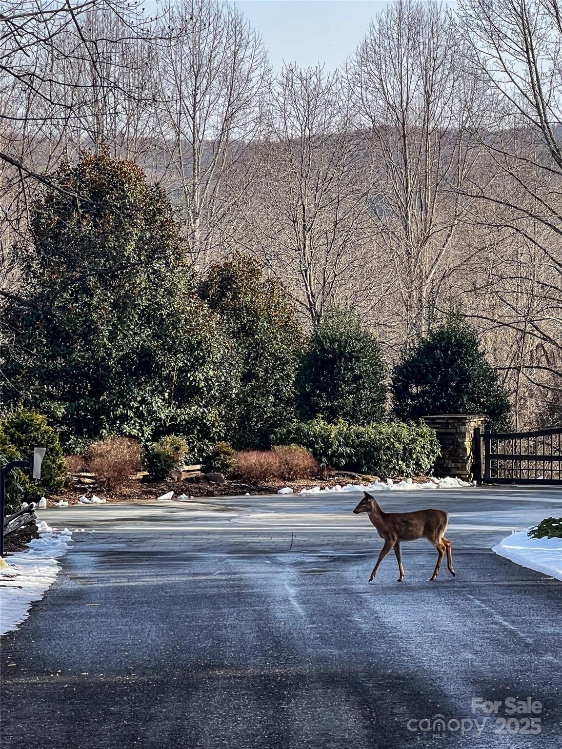 0000 Stepp Ridge Court Hendersonville NC 28792