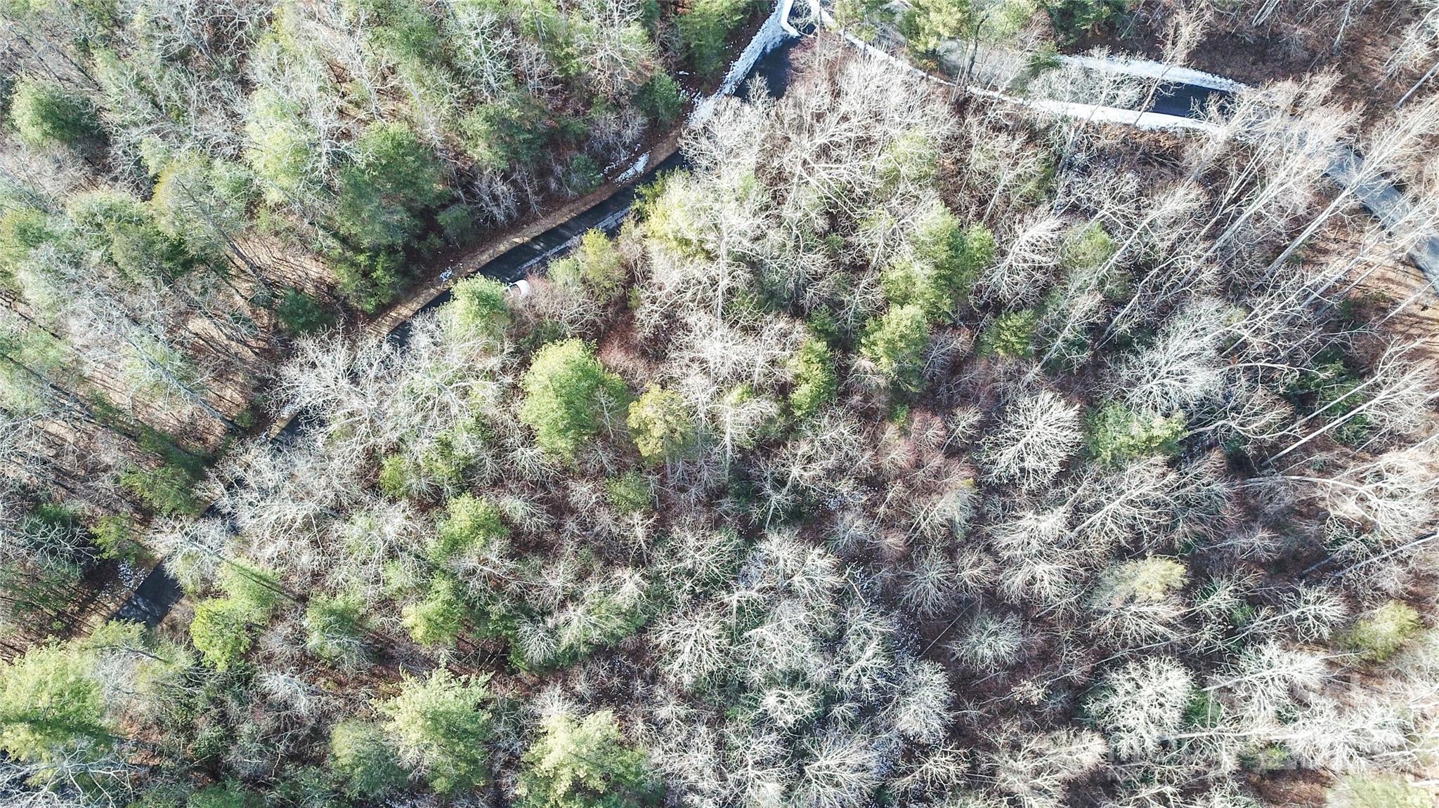 0000 Stepp Ridge Court Hendersonville NC 28792