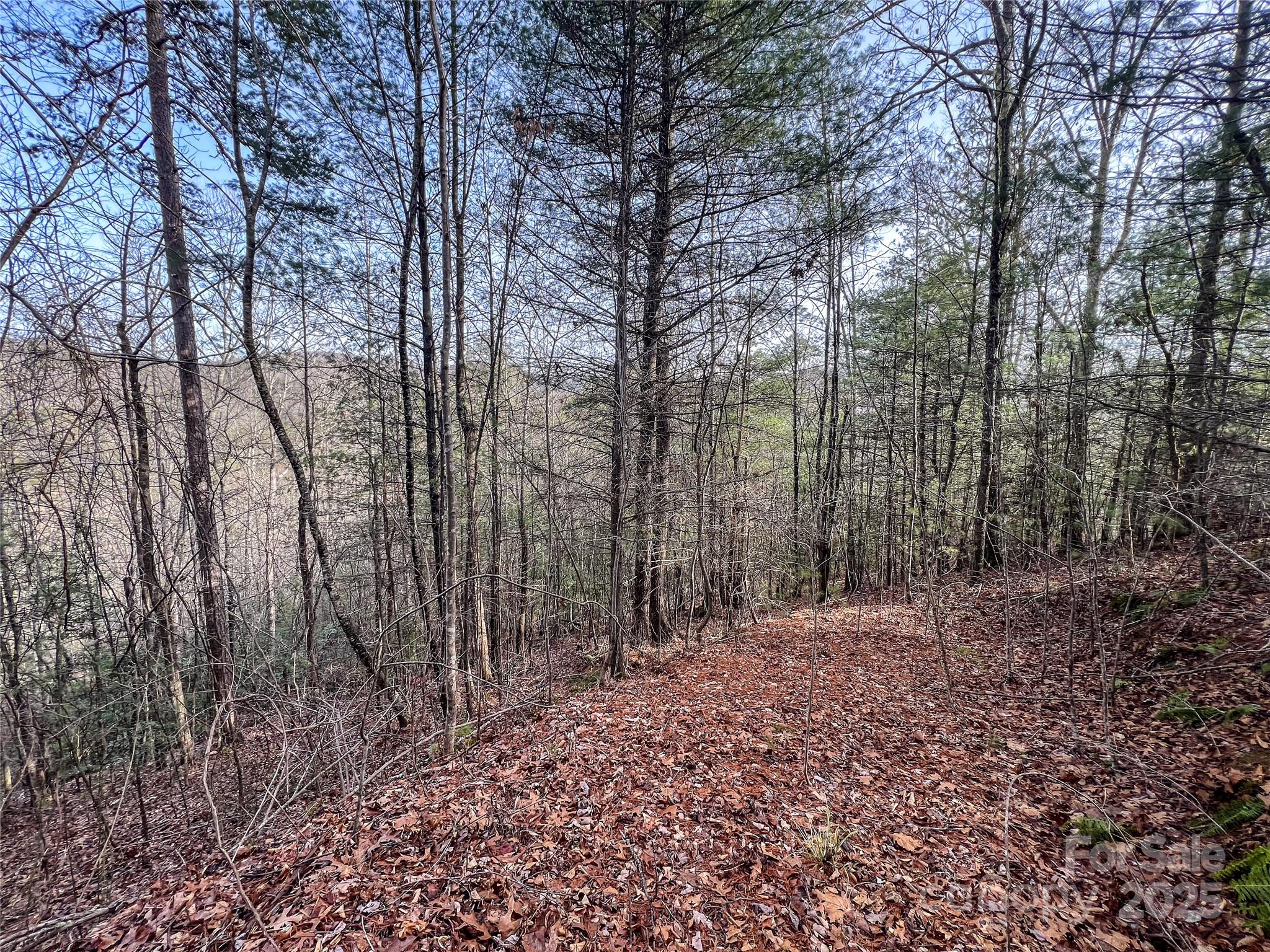 0000 Stepp Ridge Court Hendersonville NC 28792