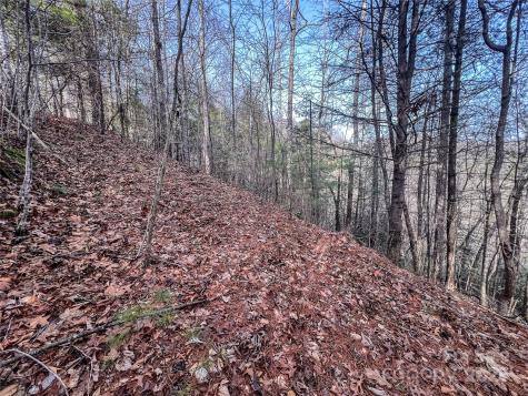 0000 Stepp Ridge Court Hendersonville NC 28792