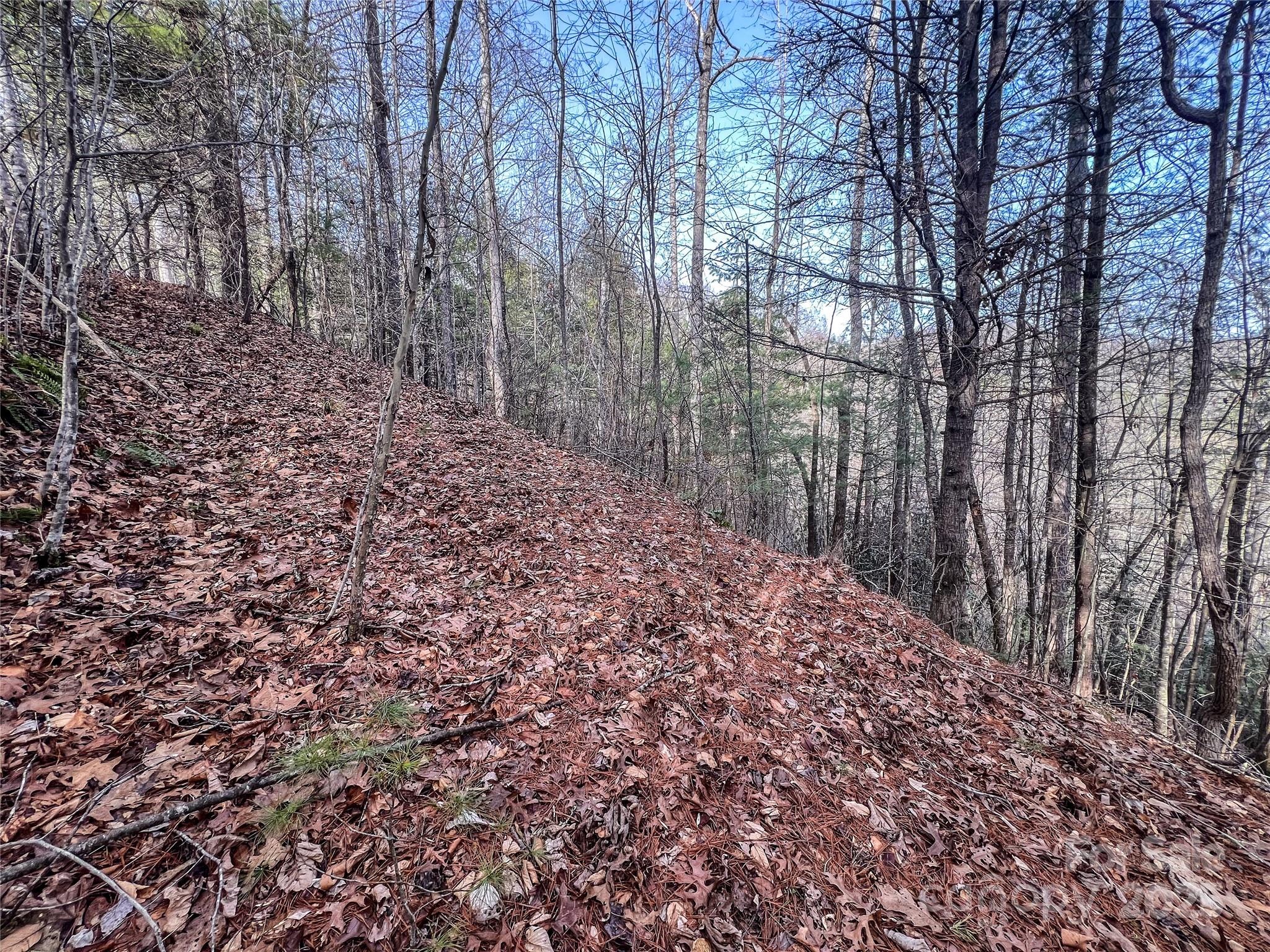 0000 Stepp Ridge Court Hendersonville NC 28792