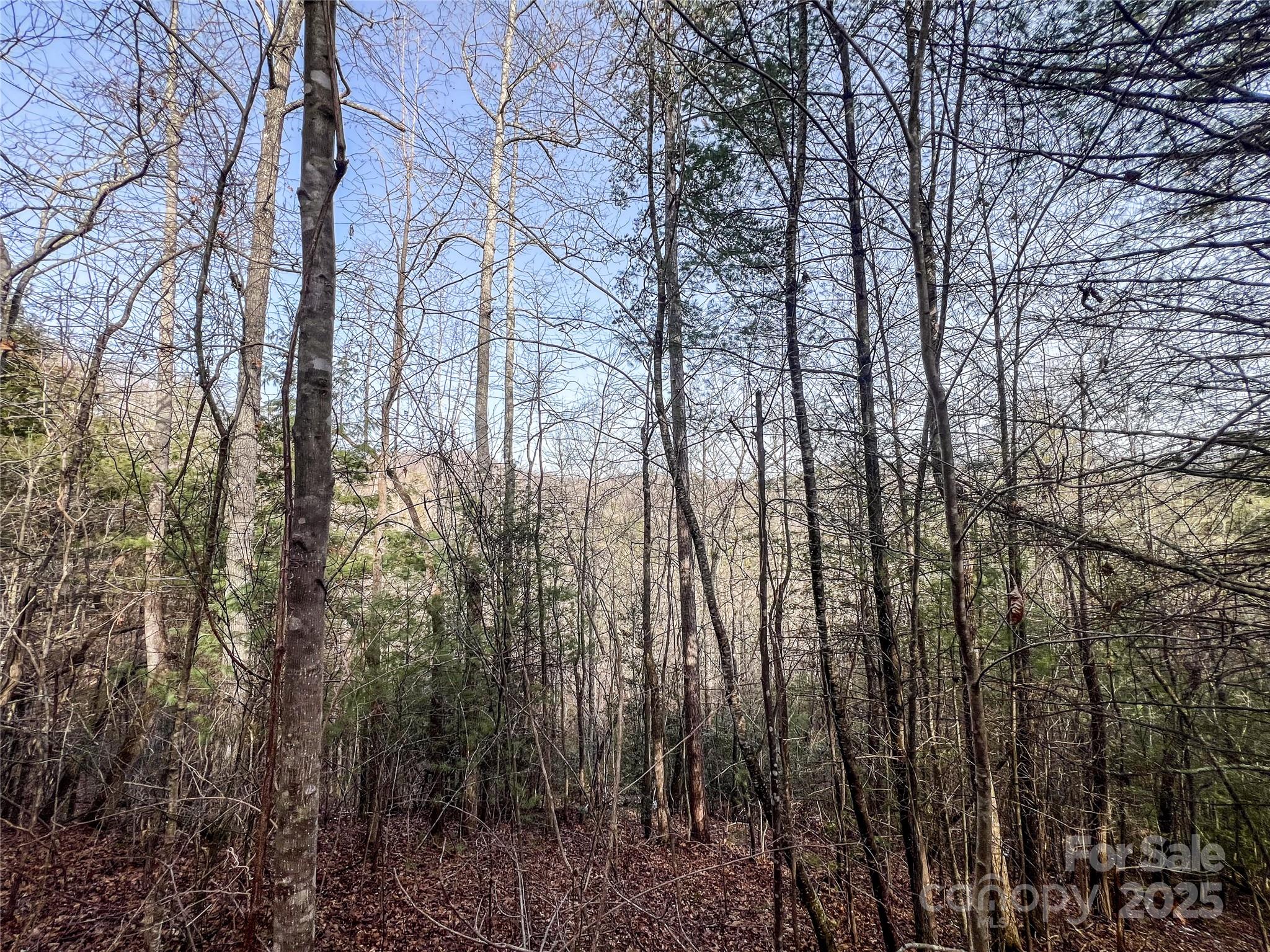 0000 Stepp Ridge Court Hendersonville NC 28792