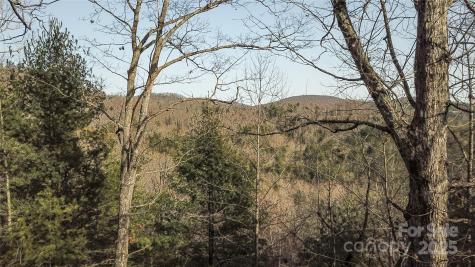 0000 Stepp Ridge Court Hendersonville NC 28792