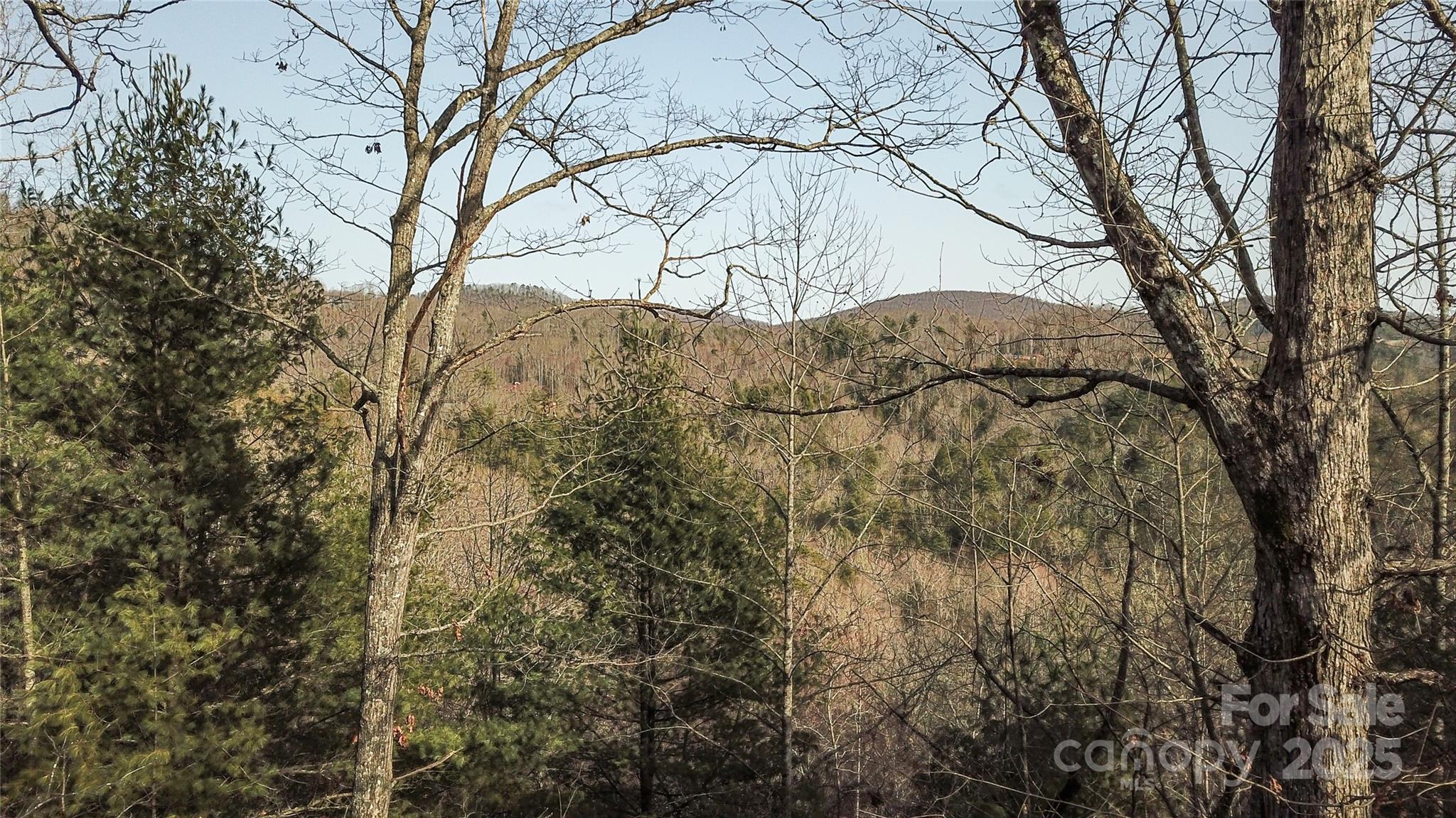 0000 Stepp Ridge Court Hendersonville NC 28792