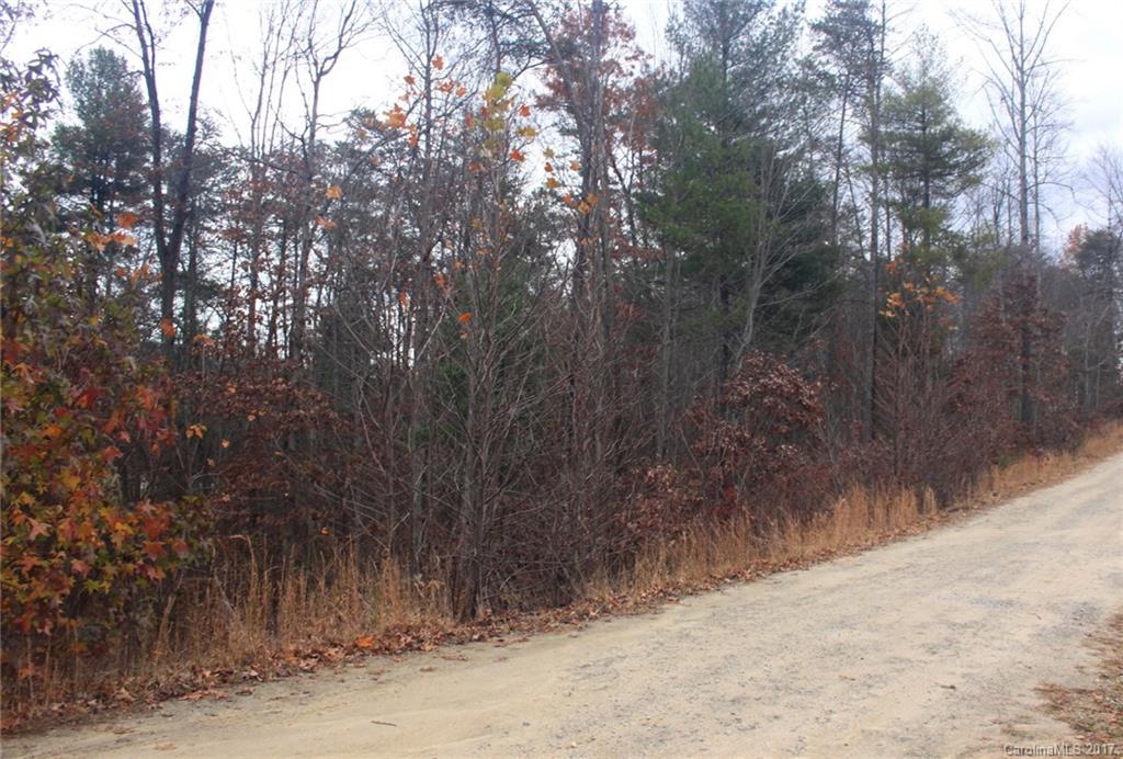 30 Bachelder Drive Candler NC 28715