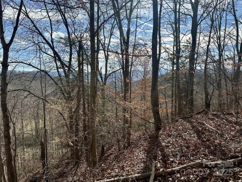 00 Queen Cove Road Waynesville NC 28785