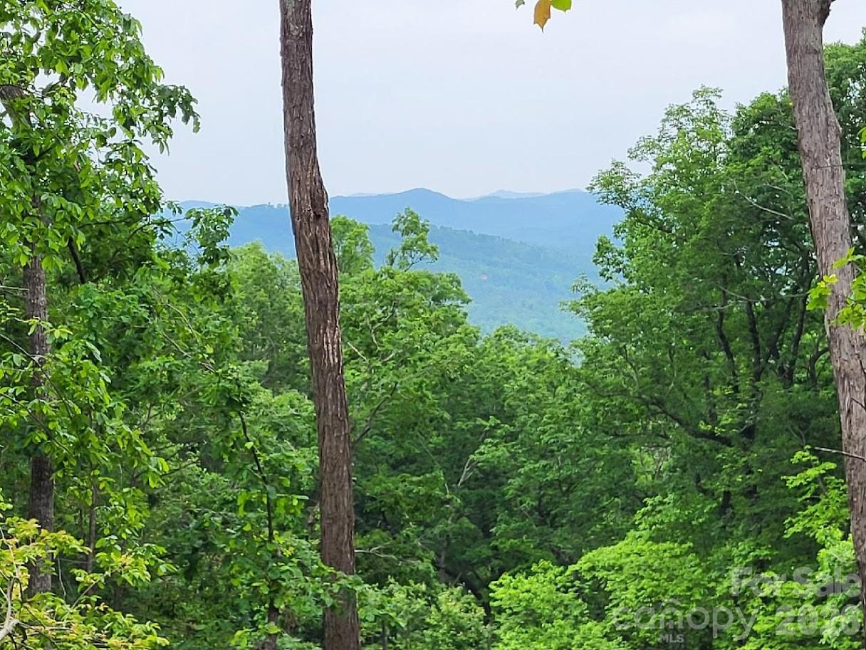 Lot 45 Ridgecrest Drive Lake Lure NC 28746