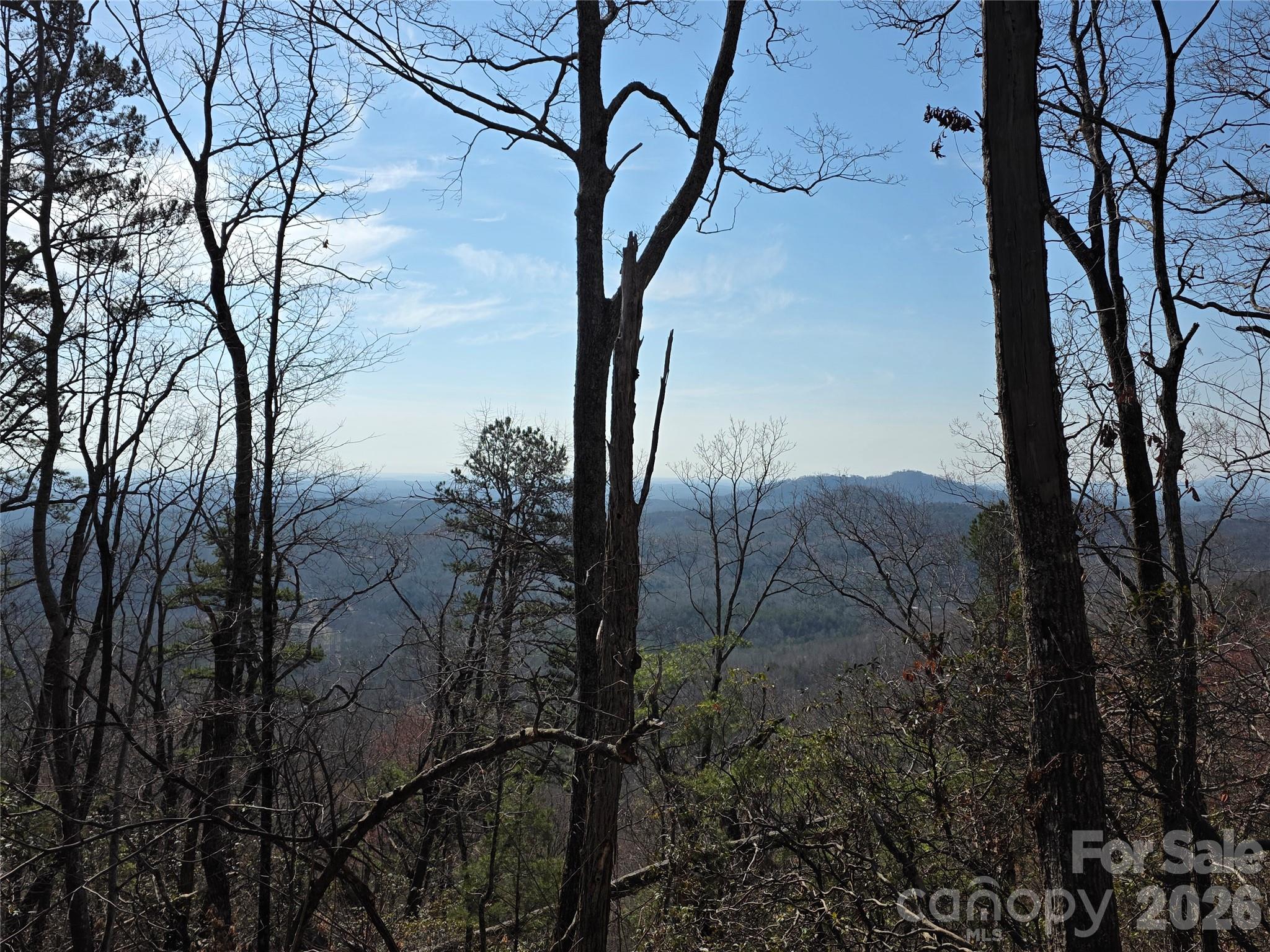 Lot 45 Ridgecrest Drive Lake Lure NC 28746