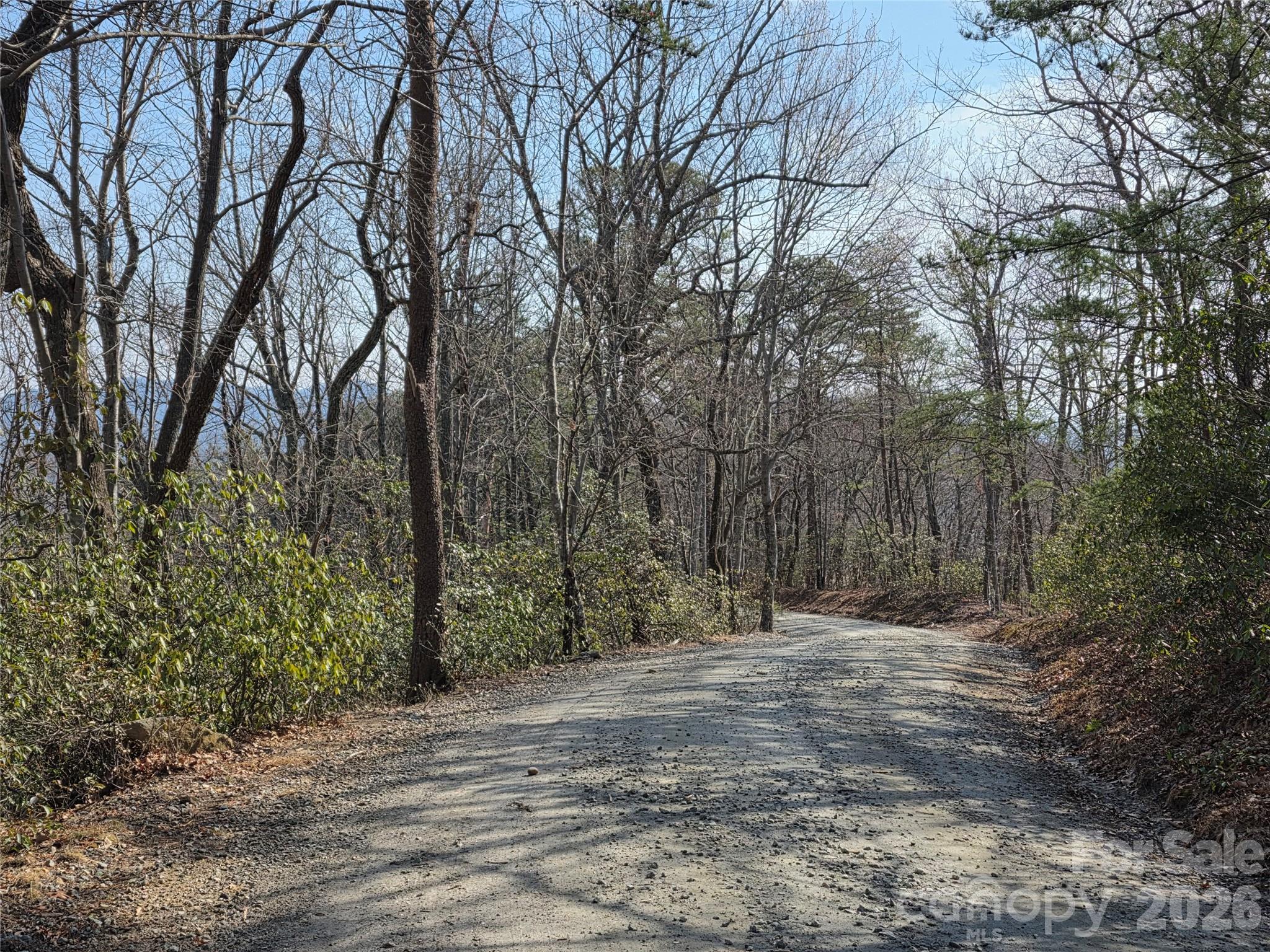 Lot 45 Ridgecrest Drive Lake Lure NC 28746