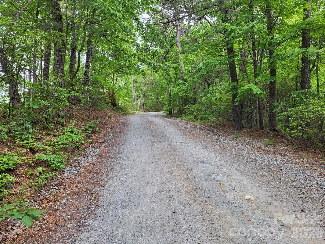 Lot 45 Ridgecrest Drive Lake Lure NC 28746