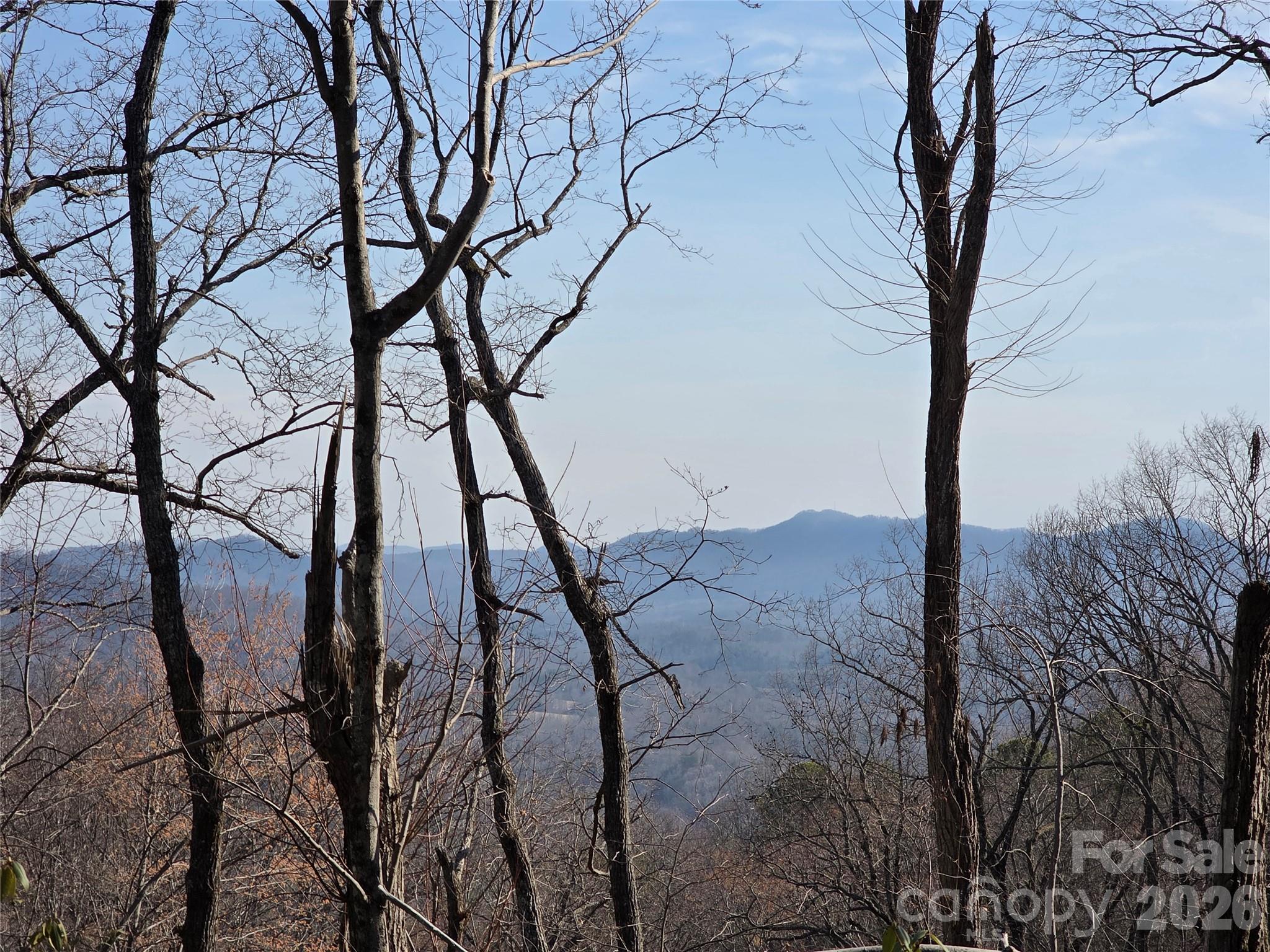 Lot 45 Ridgecrest Drive Lake Lure NC 28746