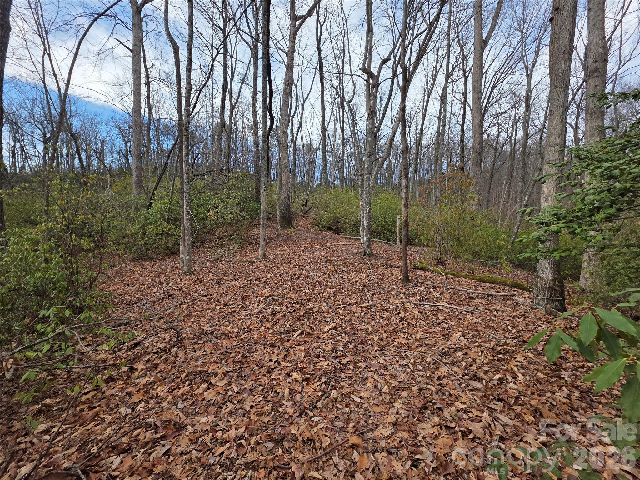 Lot 45 Ridgecrest Drive Lake Lure NC 28746