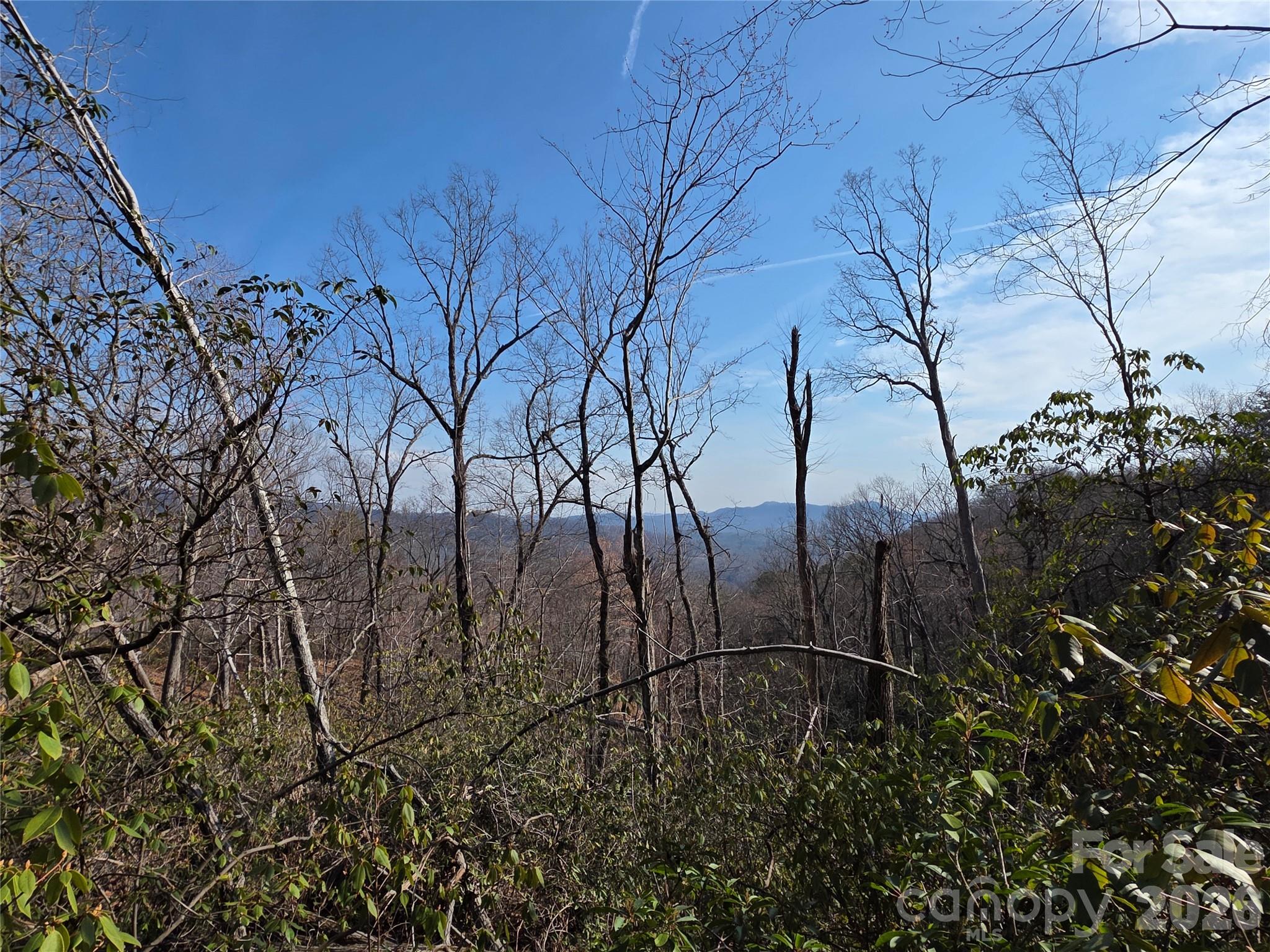 Lot 45 Ridgecrest Drive Lake Lure NC 28746