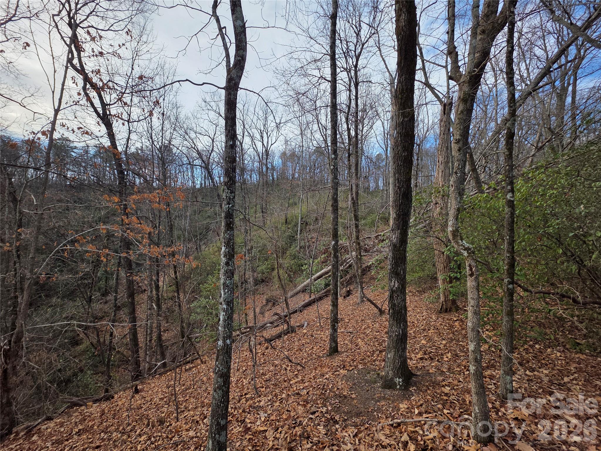 Lot 45 Ridgecrest Drive Lake Lure NC 28746