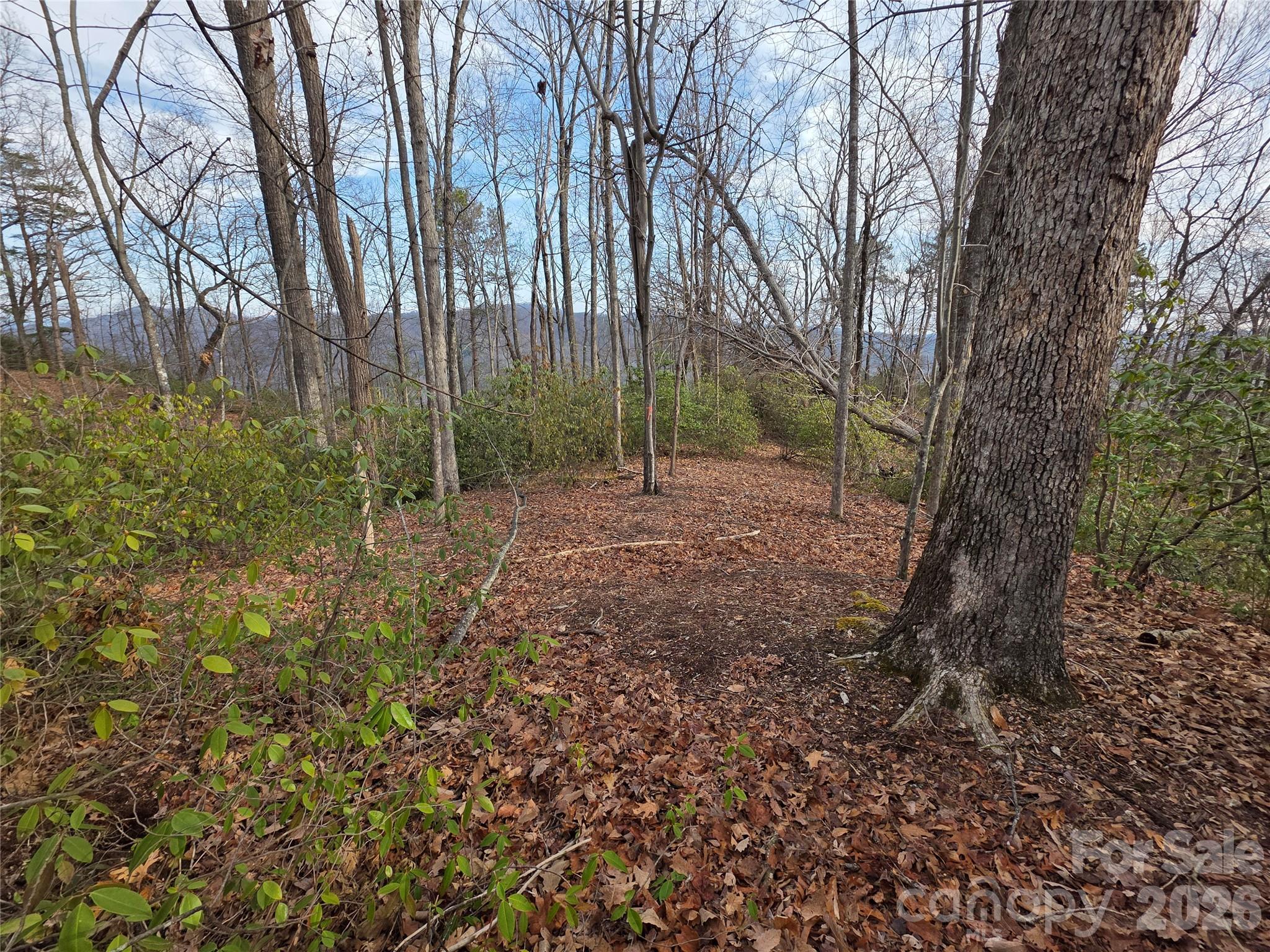 Lot 45 Ridgecrest Drive Lake Lure NC 28746