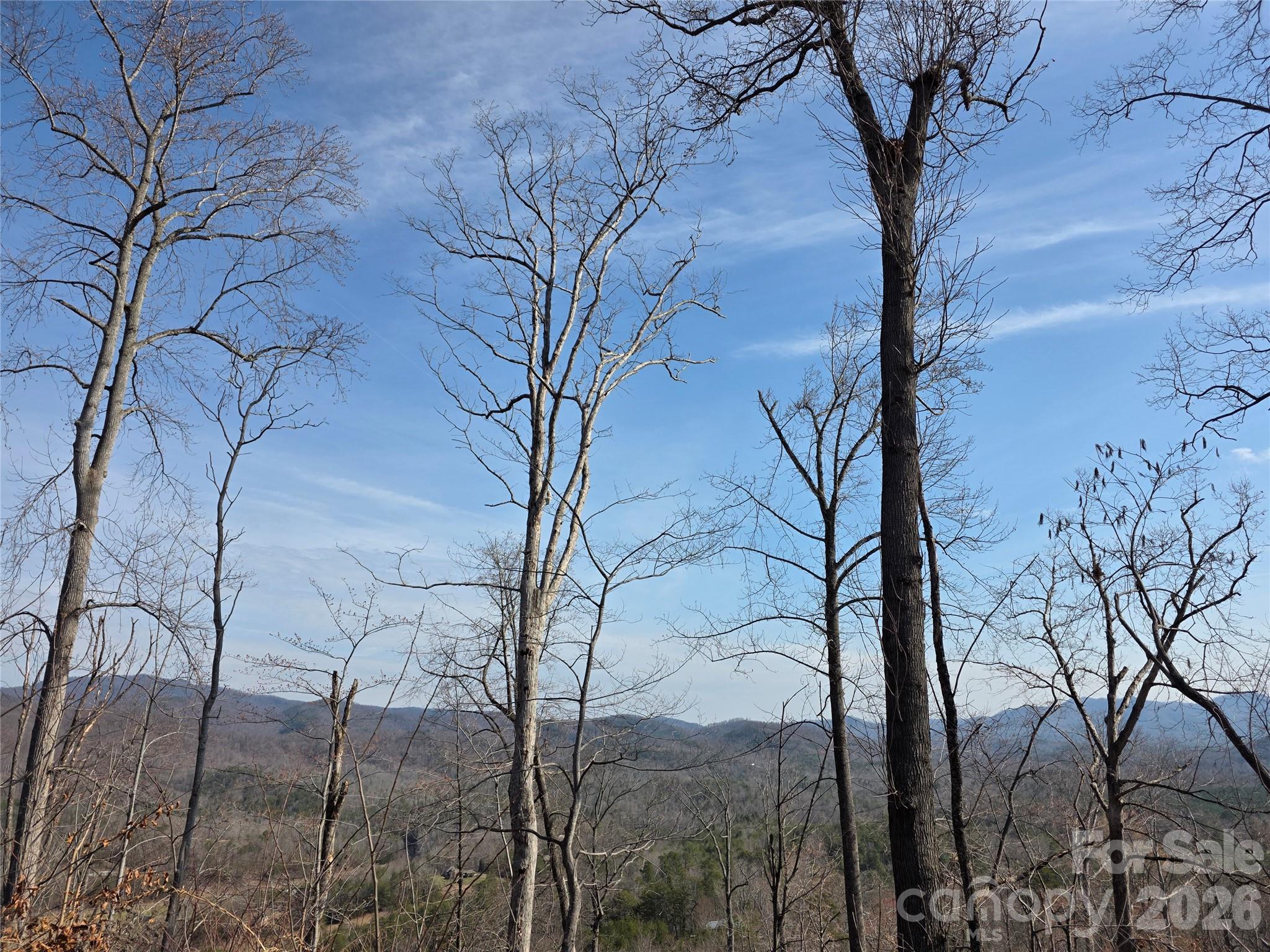 Lot 45 Ridgecrest Drive Lake Lure NC 28746