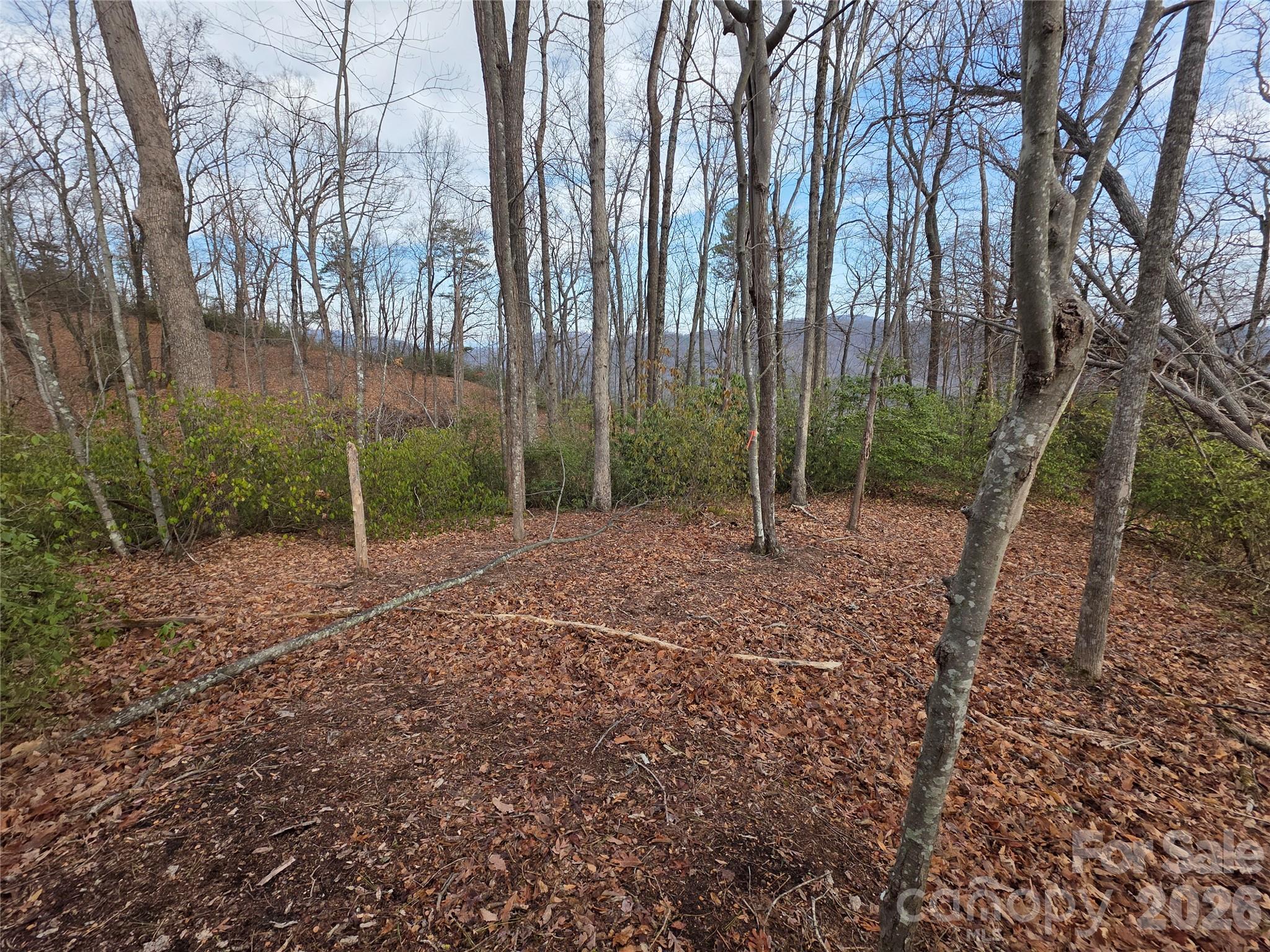 Lot 45 Ridgecrest Drive Lake Lure NC 28746