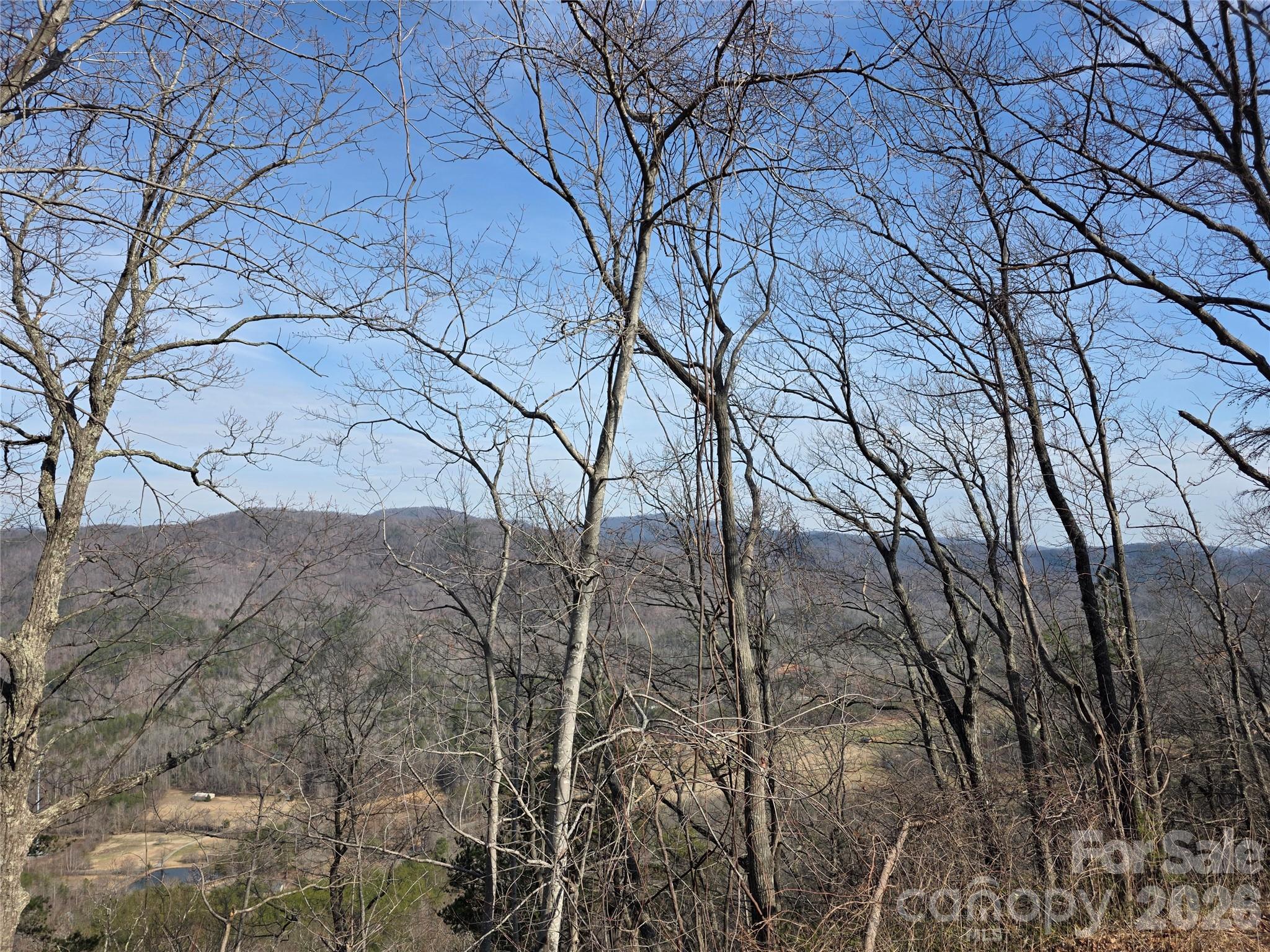 Lot 45 Ridgecrest Drive Lake Lure NC 28746