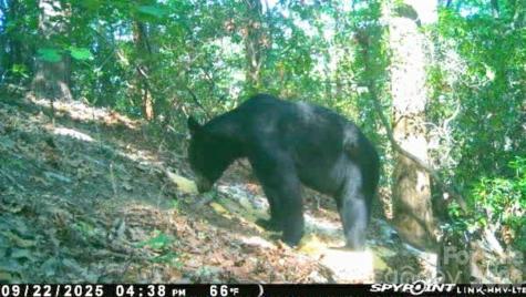Lot 45 Ridgecrest Drive Lake Lure NC 28746