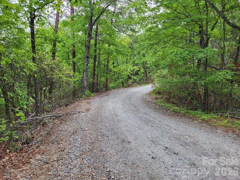 Lot 45 Ridgecrest Drive Lake Lure NC 28746