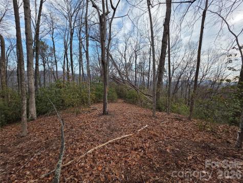 Lot 45 Ridgecrest Drive Lake Lure NC 28746