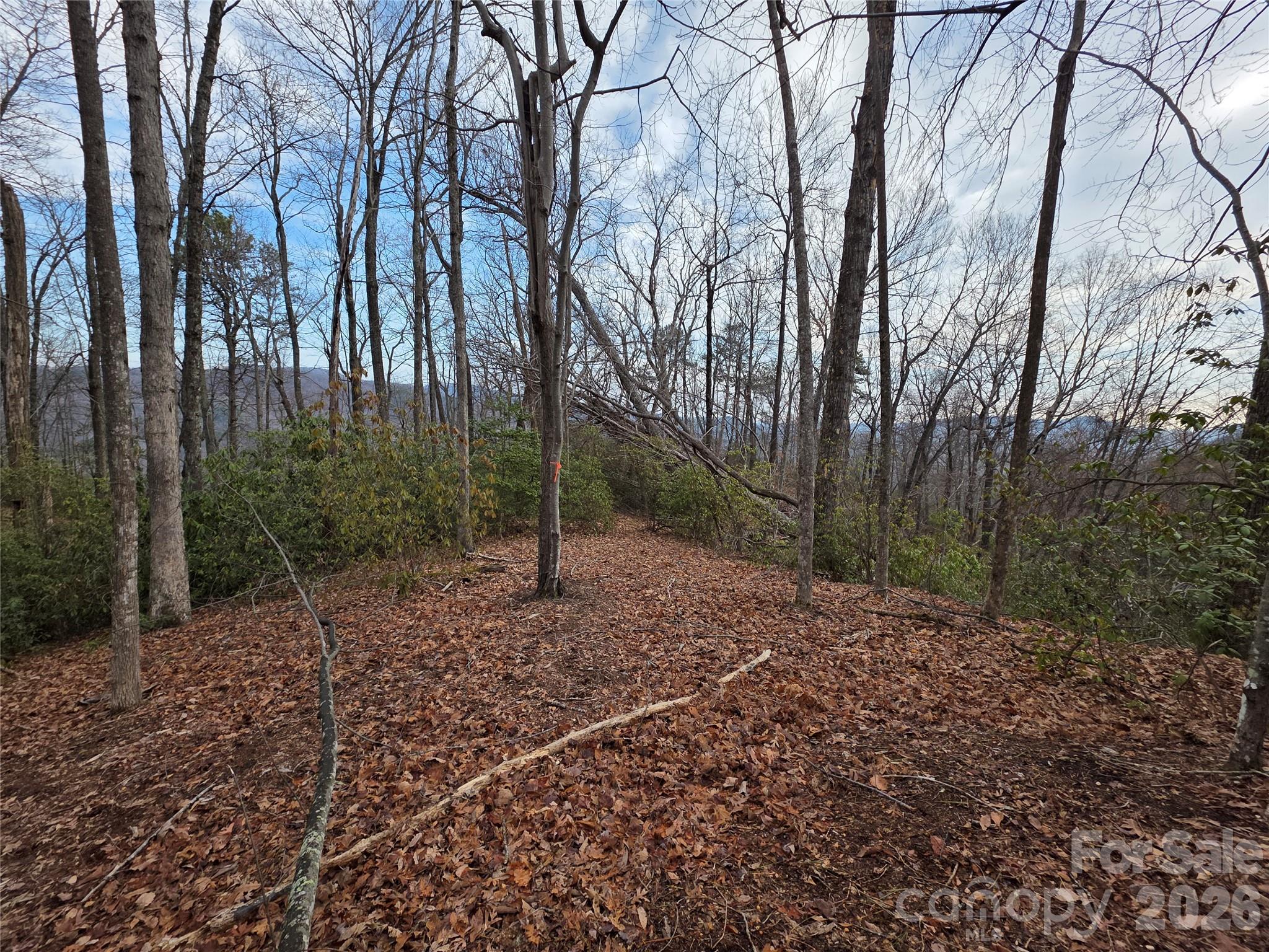 Lot 45 Ridgecrest Drive Lake Lure NC 28746