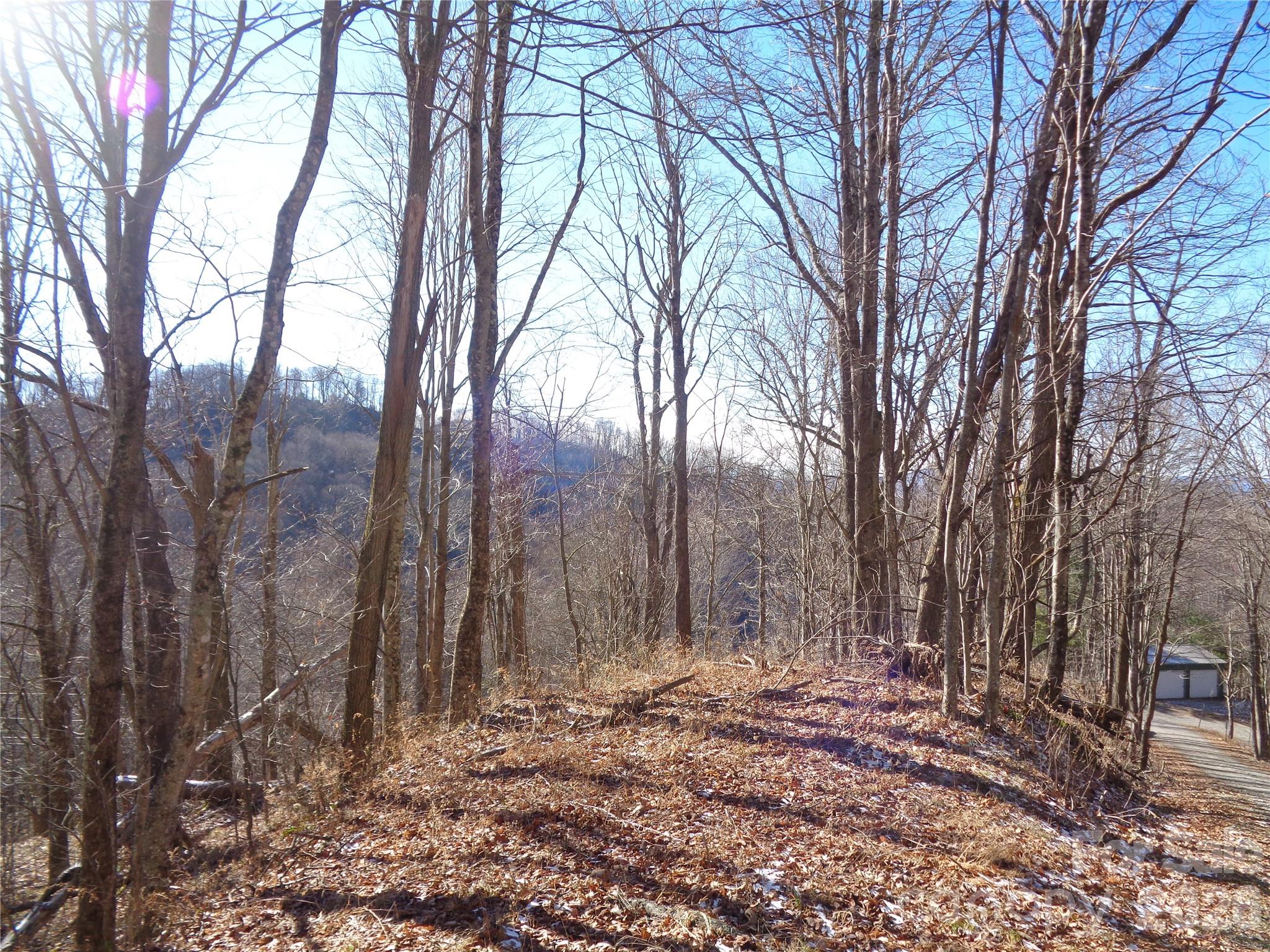 000 Listening Cove Clyde NC 28721