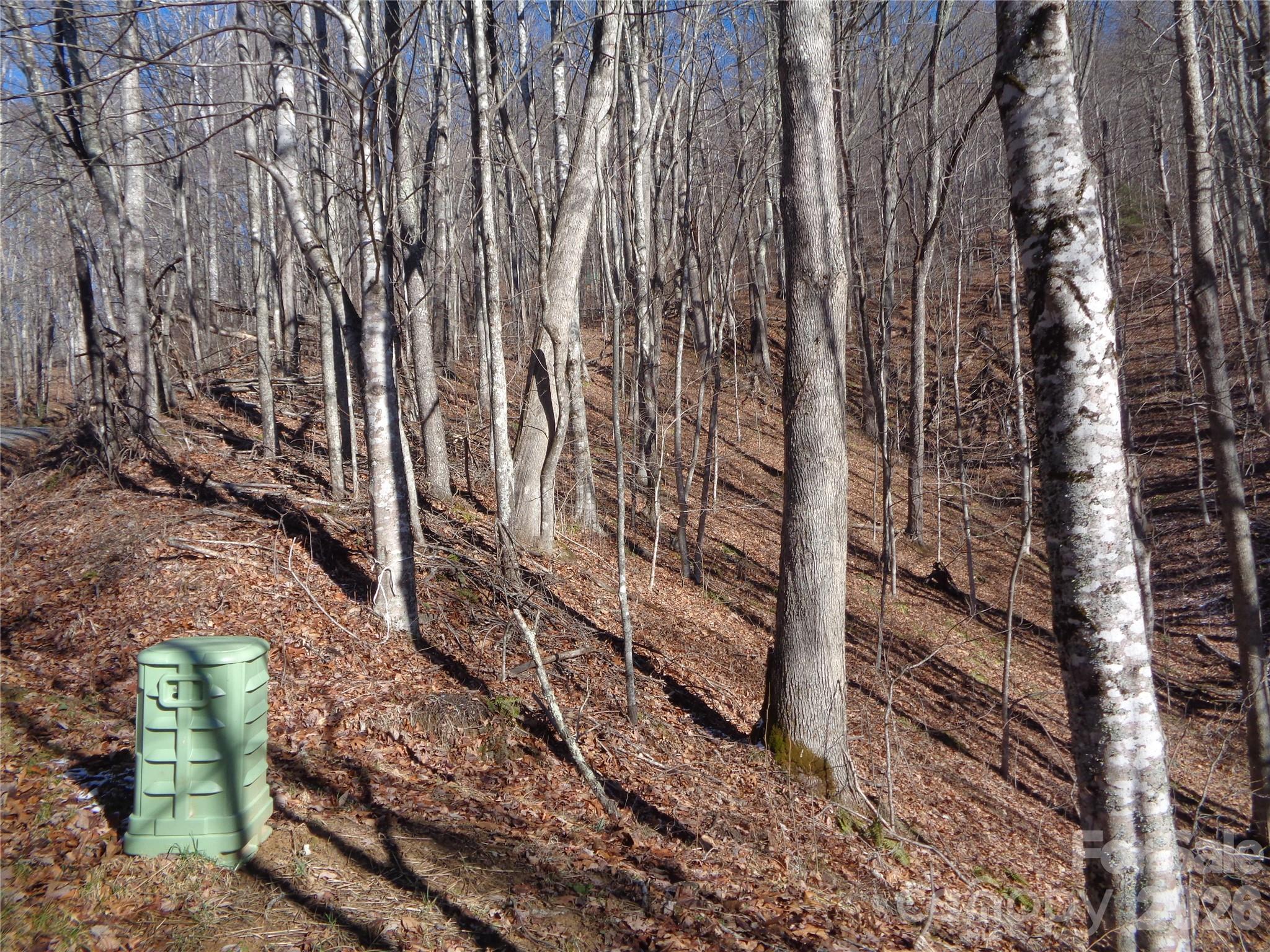 000 Listening Cove Clyde NC 28721