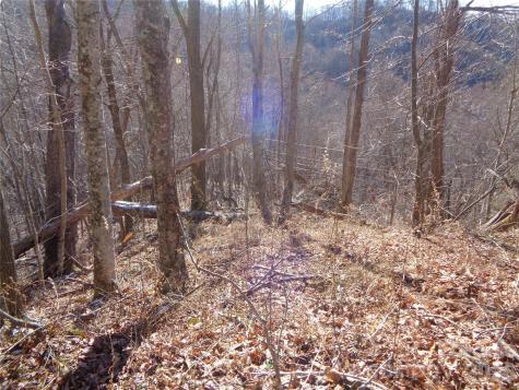 000 Listening Cove Clyde NC 28721