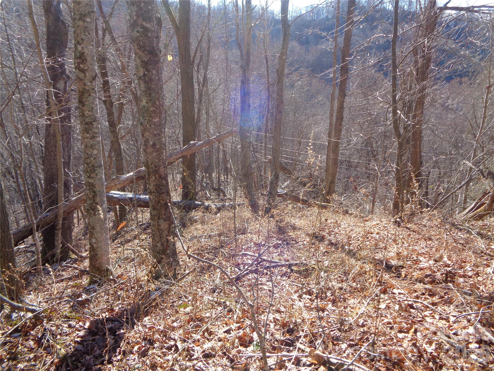 000 Listening Cove Clyde NC 28721