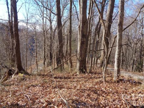 000 Listening Cove Clyde NC 28721