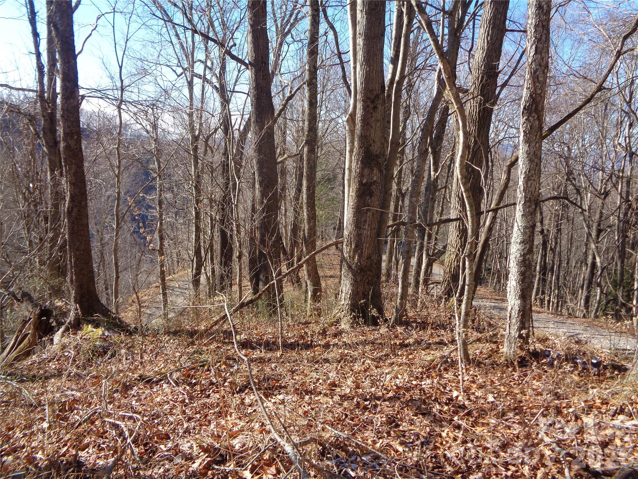 000 Listening Cove Clyde NC 28721