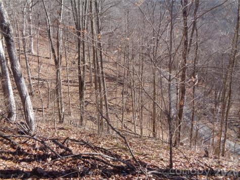 000 Listening Cove Clyde NC 28721