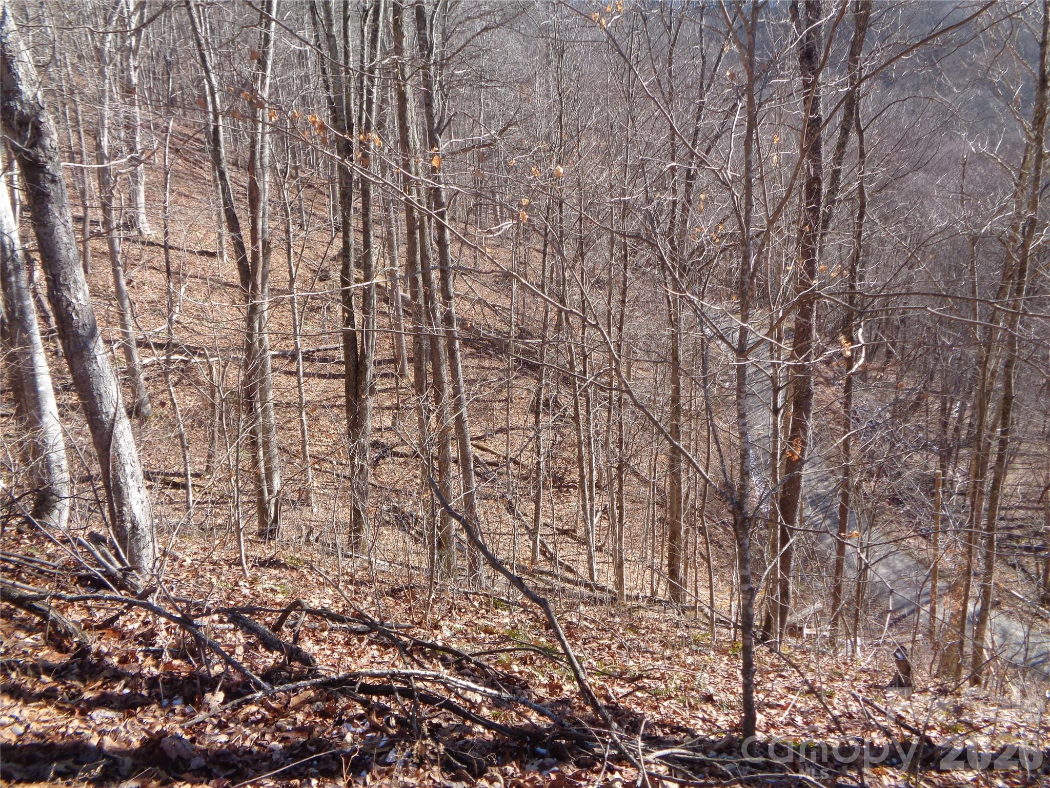000 Listening Cove Clyde NC 28721